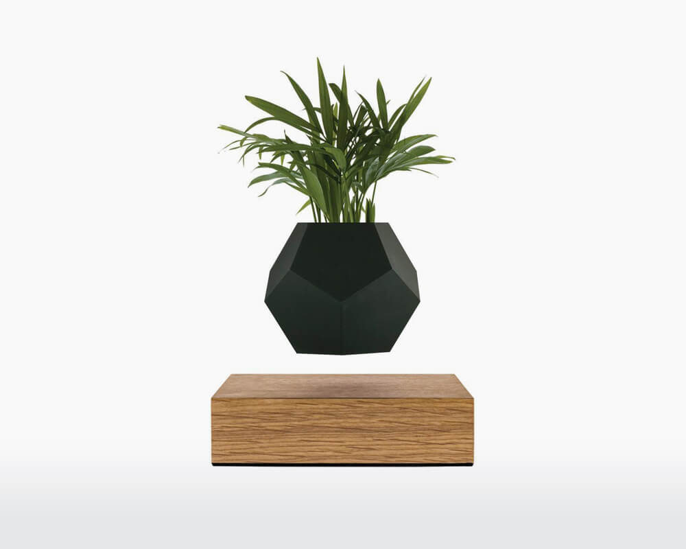 FLYTE Buckminster 2.1 - Walnut Wood - Wooden Amsterdam