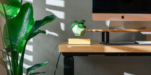 wooden amsterdam wholesale page 1000x500 02