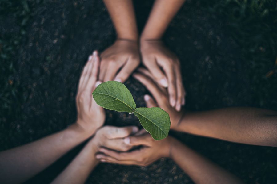 hands holding soil and a seed