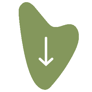 icon down